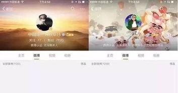 娱乐八卦 封号,揭秘封号背后的娱乐八卦真相