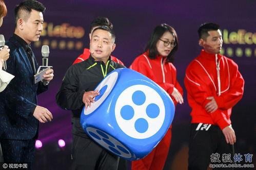 快速网红综艺节目,快速网红综艺节目的崛起与影响