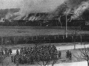 性的暴行图片,性暴行事件的残酷真相