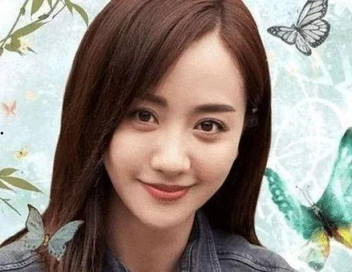 姓杨的明星,杨姓明星的璀璨人生