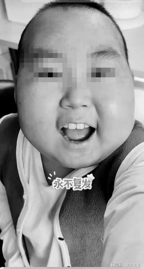 男网红童,揭秘网络红人的魅力与争议